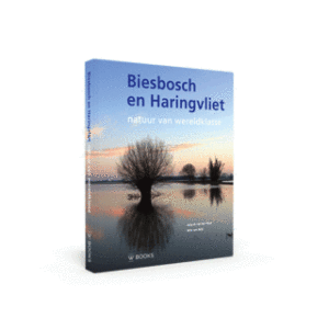 Biesbosch en Haringvliet